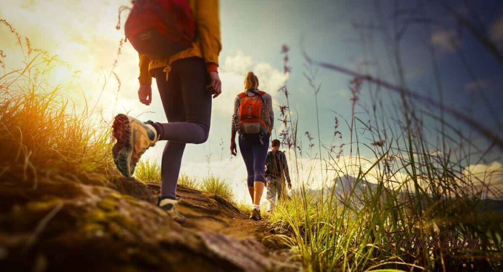 Explore-Hiking-and-Nature-Walks