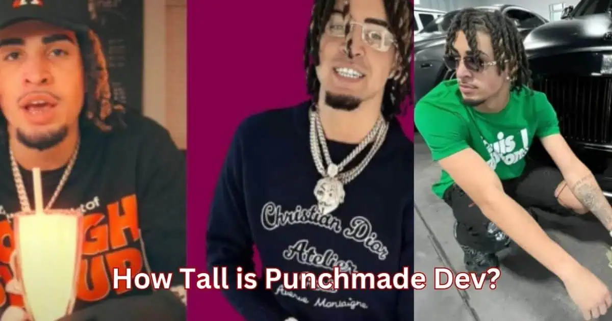 How Tall is Punchmade Dev?