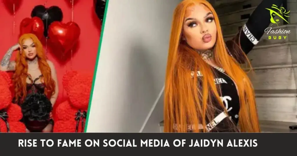 Rise to Fame on Social Media Of Jaidyn Alexis  